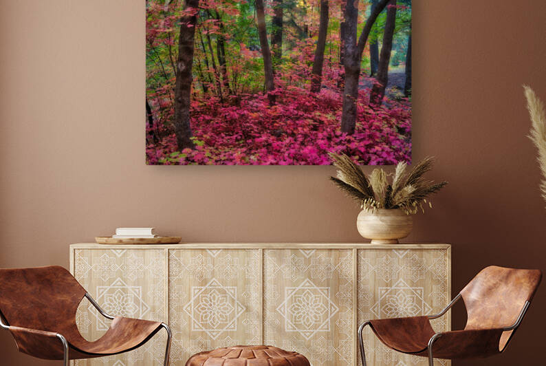 Fall in Bear Wallow by Eduardo Palazuelos