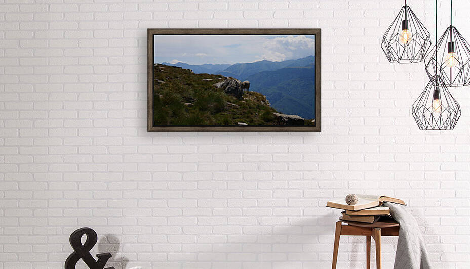 A sheep in mountains by Cedric Doz