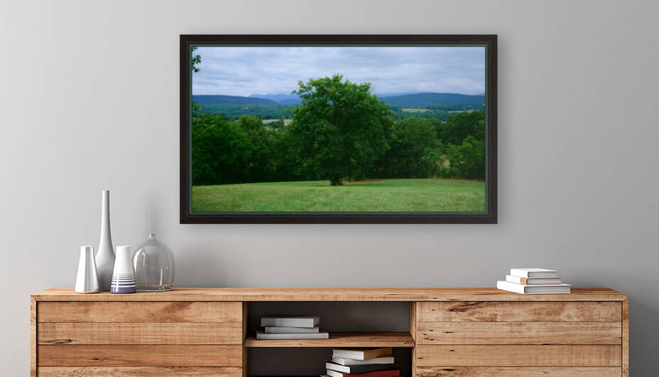 Tree in France by Cedric Doz