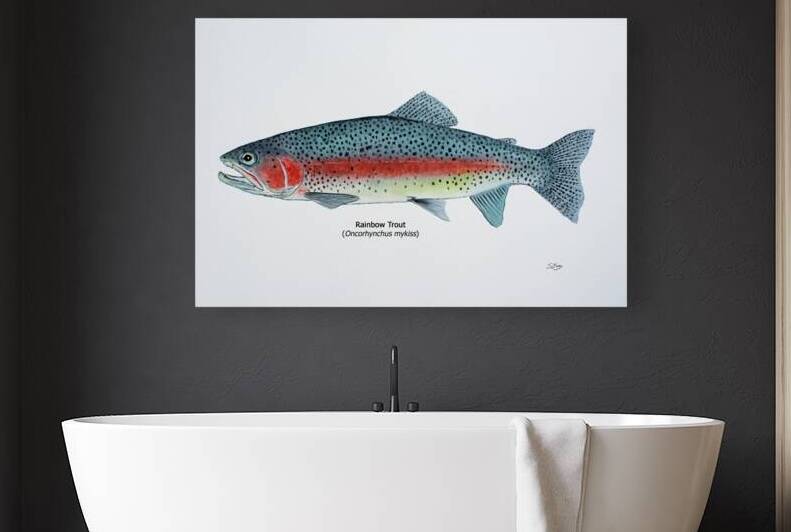 Rainbow Trout Painting by Stephen Emms