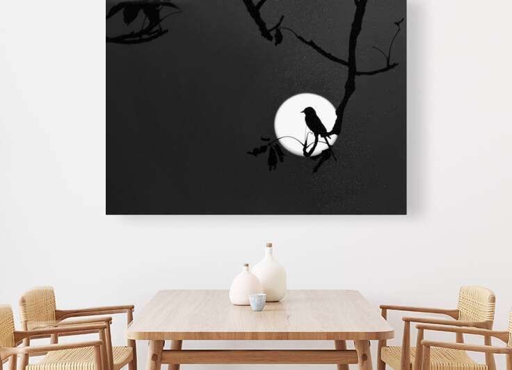 Nightingale of my dreams by 1x