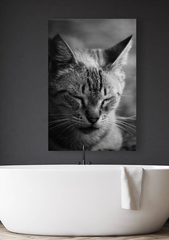 Close to the sunlight by 1x