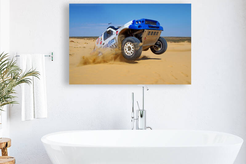 KING OF DESERT by 1x