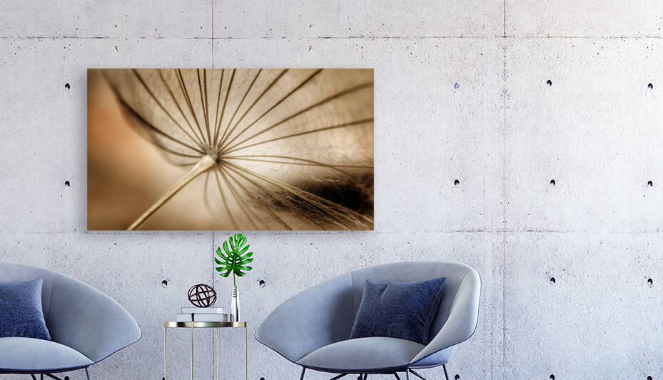 Nature blood vessels by 1x