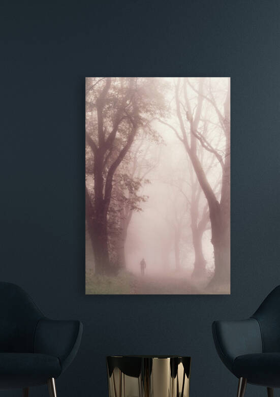 Early morning walk by 1x