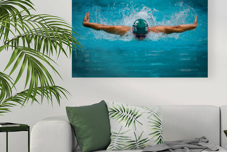 Flying Dolphin by 1x