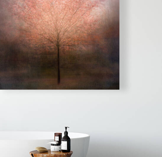 Dream come true by 1x