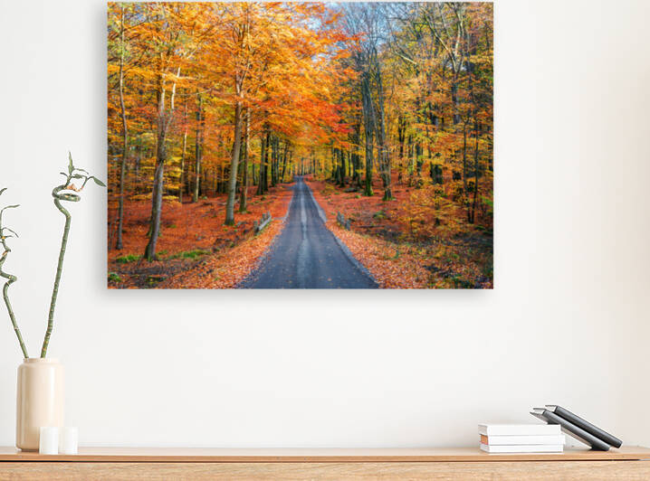 Road into autumn by 1x