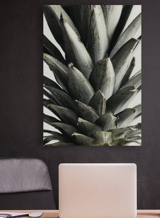 Pineapple close up by 1x