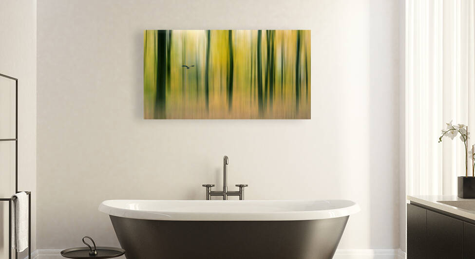 Searching for prey by 1x