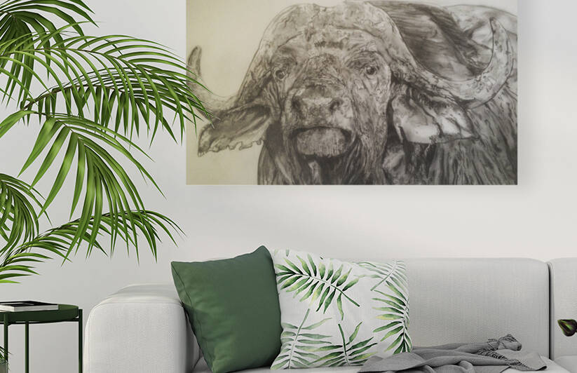 Cape Buffalo by Grant Netherlands