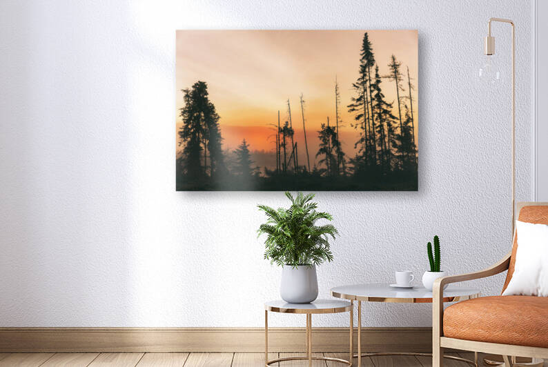 Nature sauvage by Juanel Casseus