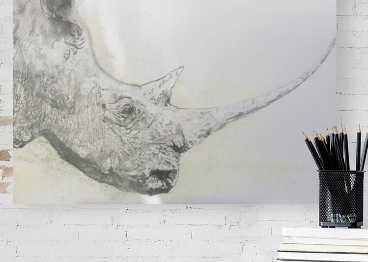 Save the Rhino by Grant Netherlands