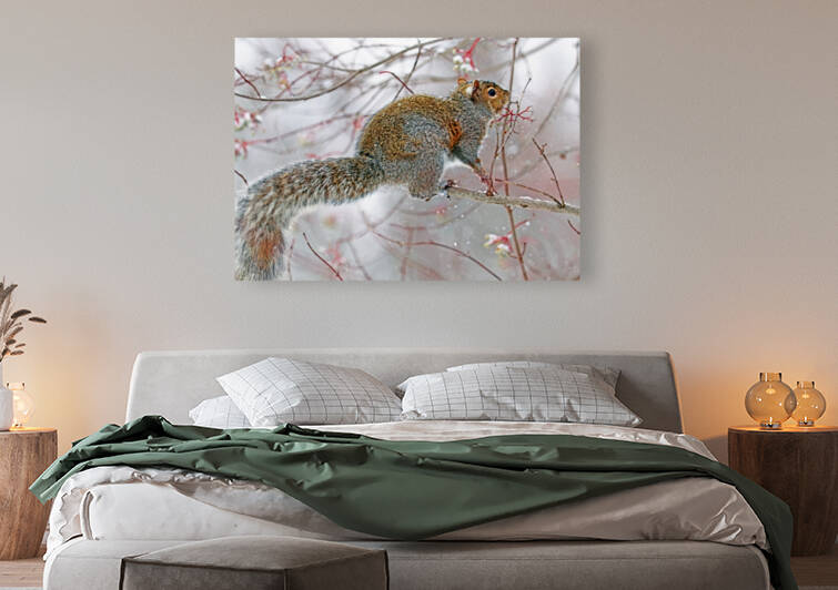 Snowy Squirrel by Deb Oppermann