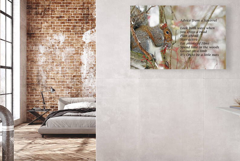 Squirrel Advice by Deb Oppermann