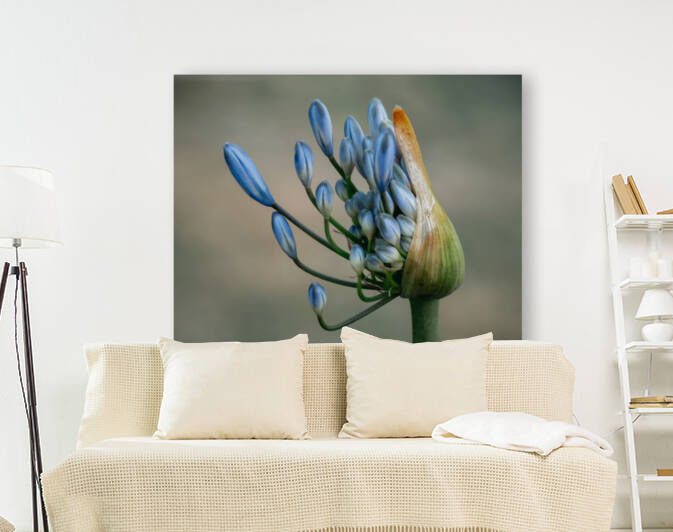 Stand tall by Chatz Schwab