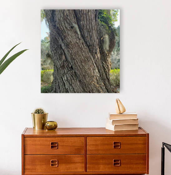 Twisted Fairytale Tree by The NC Geek