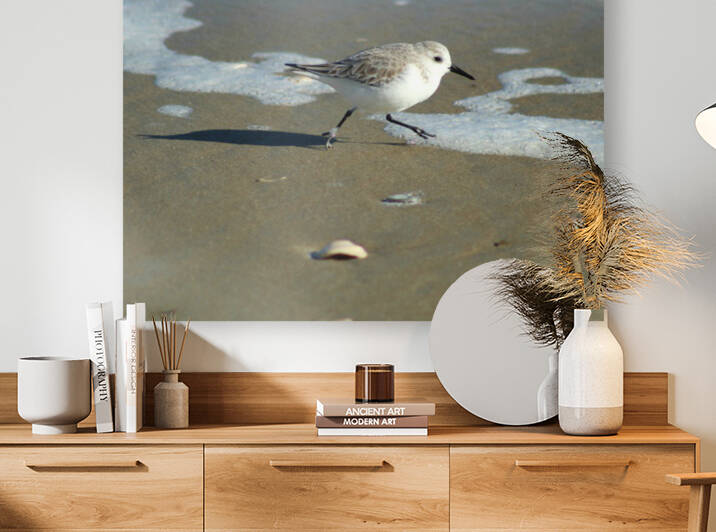 Beach Run by The NC Geek