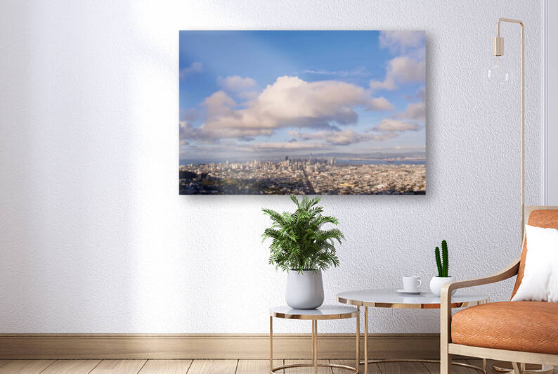 San Francisco Skyline by Bill Osuch