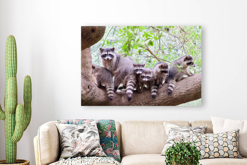 Rocky and family by Bill Osuch