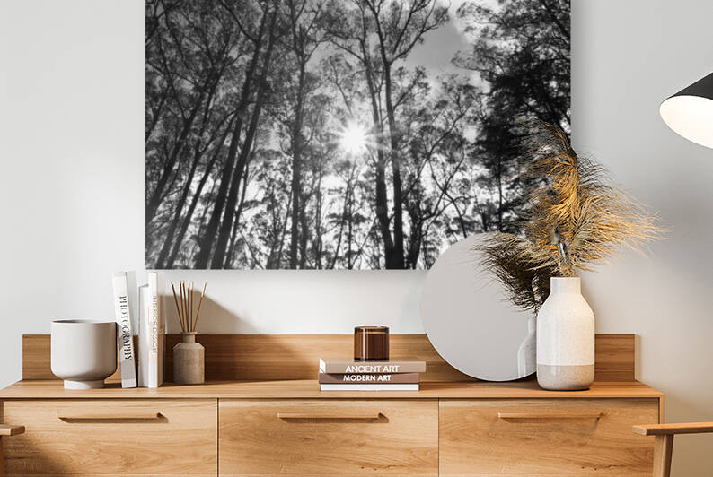 Sutro Peak by Bill Osuch