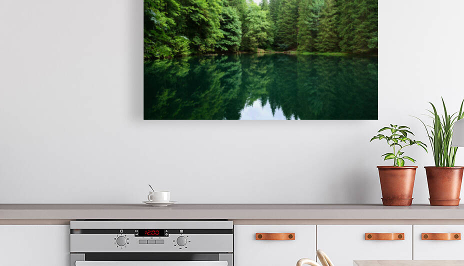 Forest lake by Cedric Doz