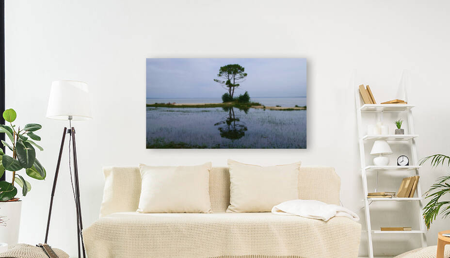 Tree in lake by Cedric Doz