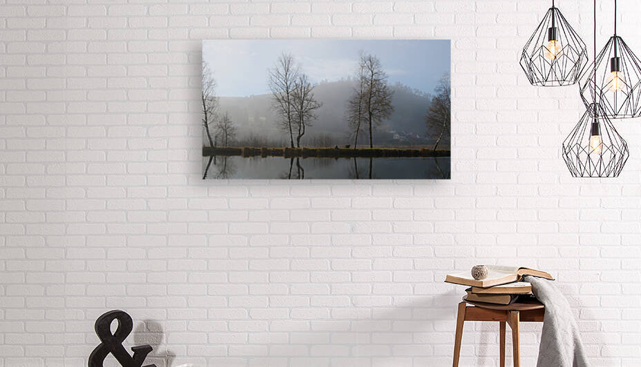 Trees in the mist France by Cedric Doz