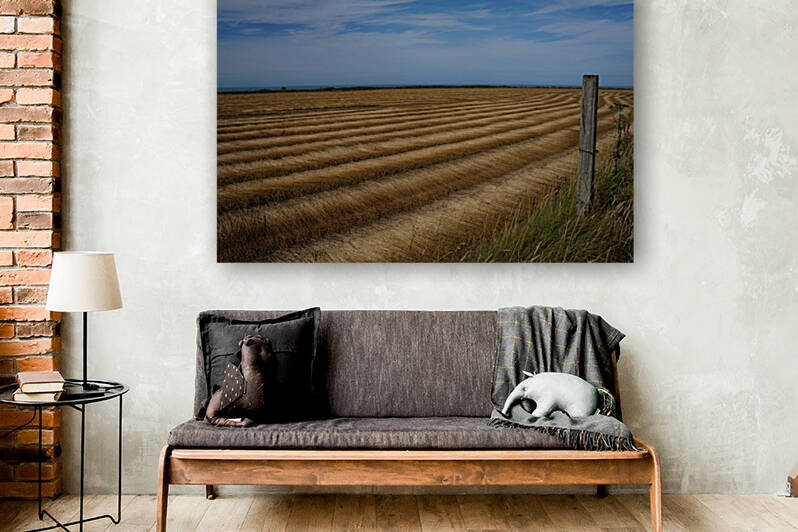 Normandy field by Cedric Doz