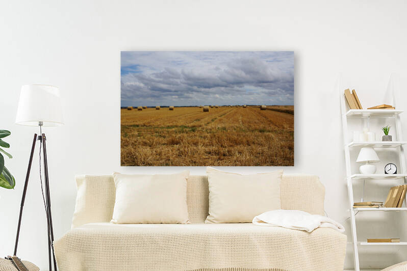 Normandy field by Cedric Doz