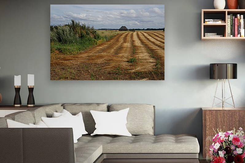 Normandy field by Cedric Doz