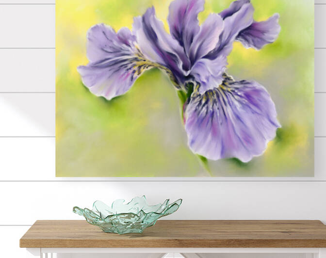 Single Siberian Iris Periwinkle Blue-Violet by MM Anderson