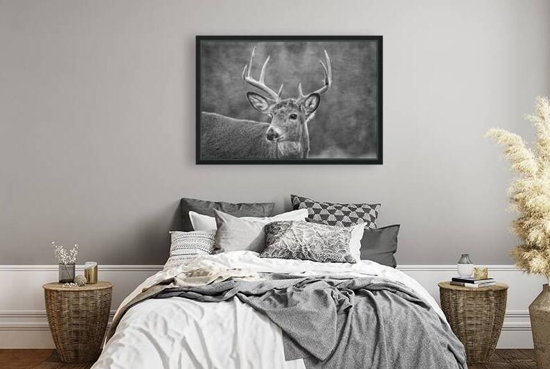 Stud by Michel Soucy