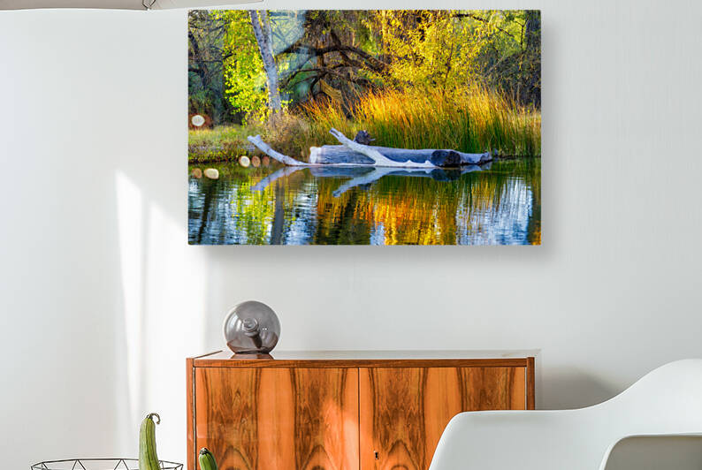 Agua Caliente Park Portrait by Eduardo Palazuelos