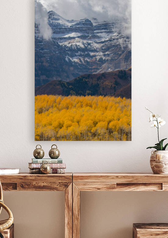 7I2A6780 by Stephen Taylor