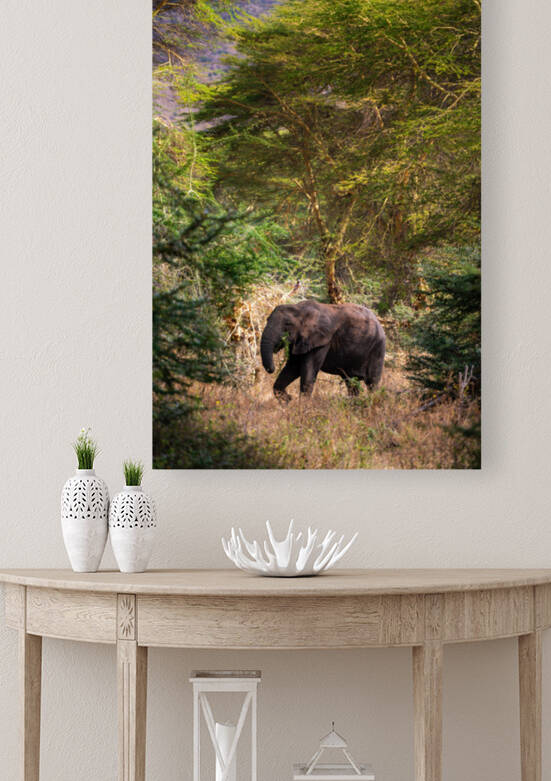 Elephant on Tanzanian Safari by Noah Lang