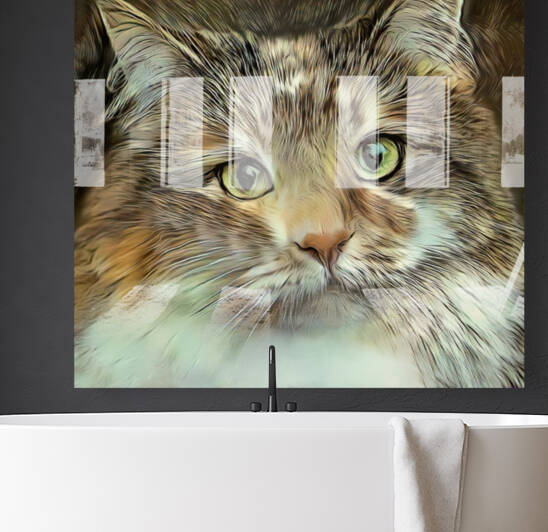 Emily An American Longhair Cat by HH Photography of Florida