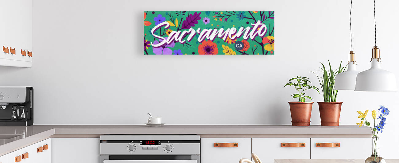 California   Sacramento   Mike  1  by Ava Stochinsky