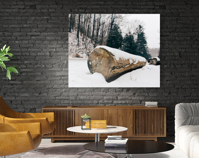 A bridge out of snow by Yahya Hisham