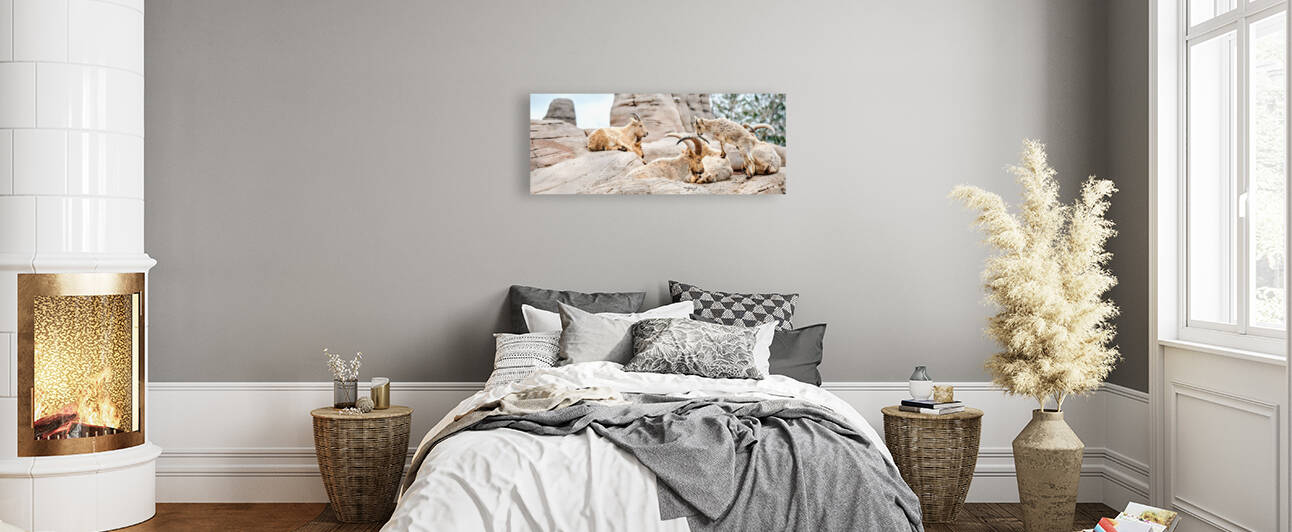 Goats by Yahya Hisham