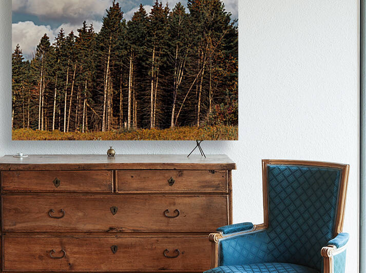 Forest by Yahya Hisham