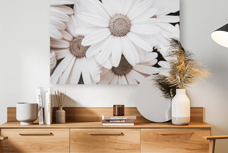 Pyrethrum Flowers in sepia by AS Photography