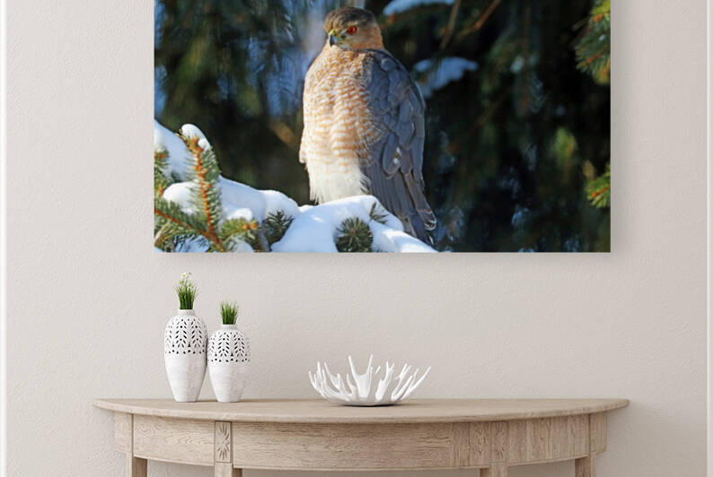 Intensely Focused by Deb Oppermann