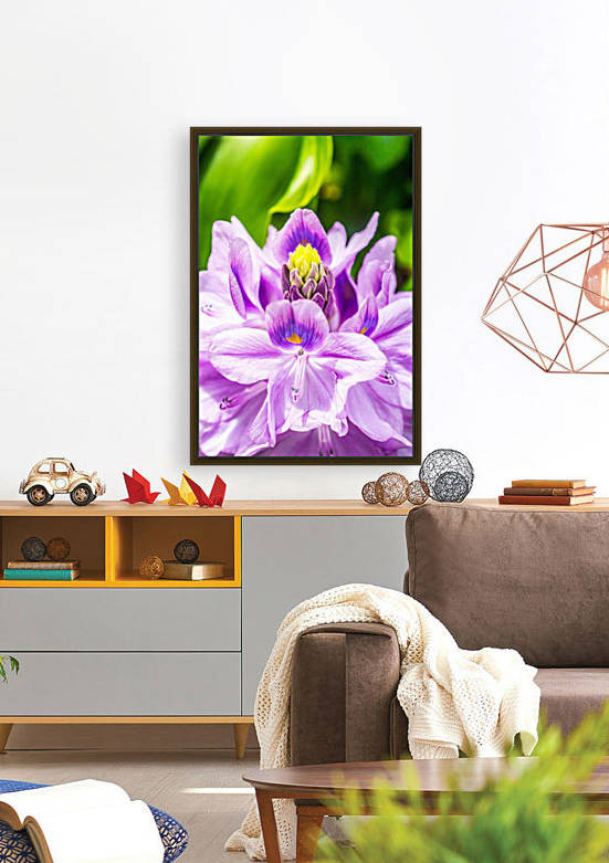 Water Lily by Audie Alexander