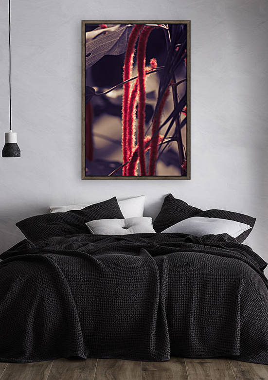 IMG_2021 by Audie Alexander