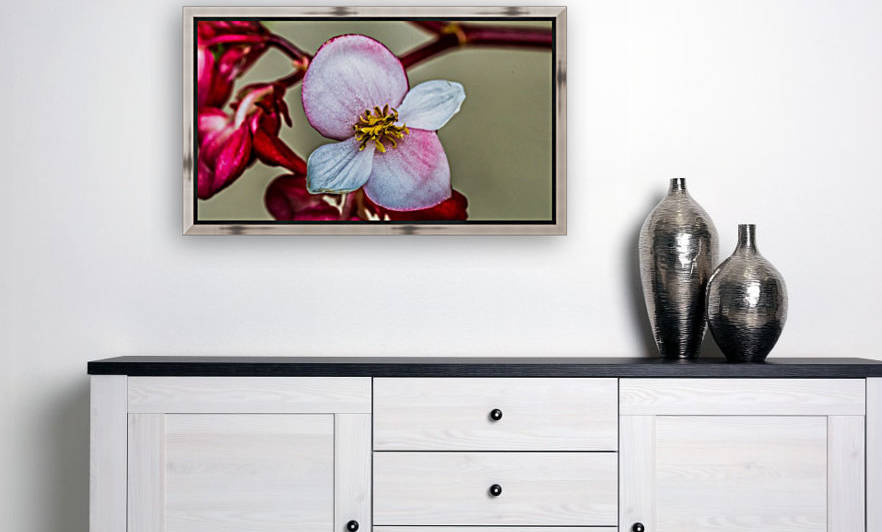 Red Flower by Audie Alexander