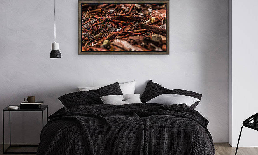 IMG_4228 by Audie Alexander