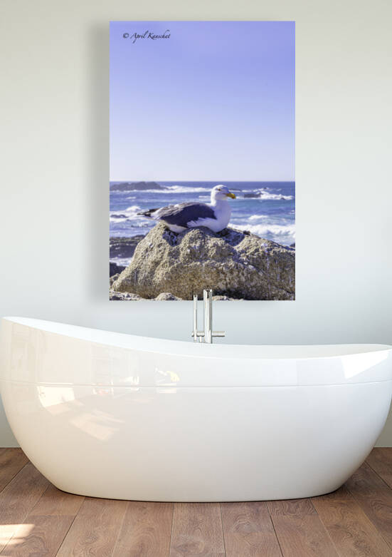 Big Sur Seagull by April Kanschat