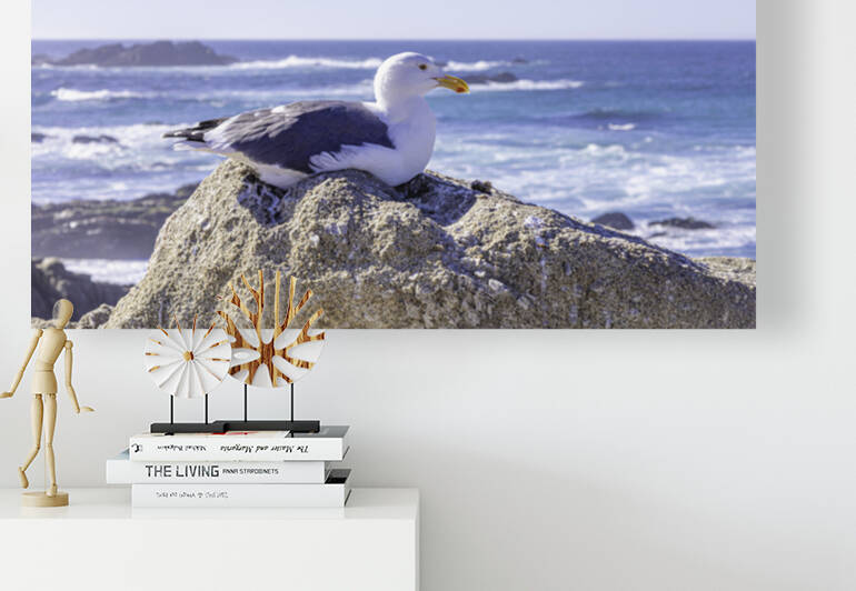 Big Sur Seagull by April Kanschat