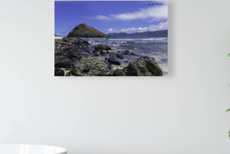 Hawaii Island by April Kanschat